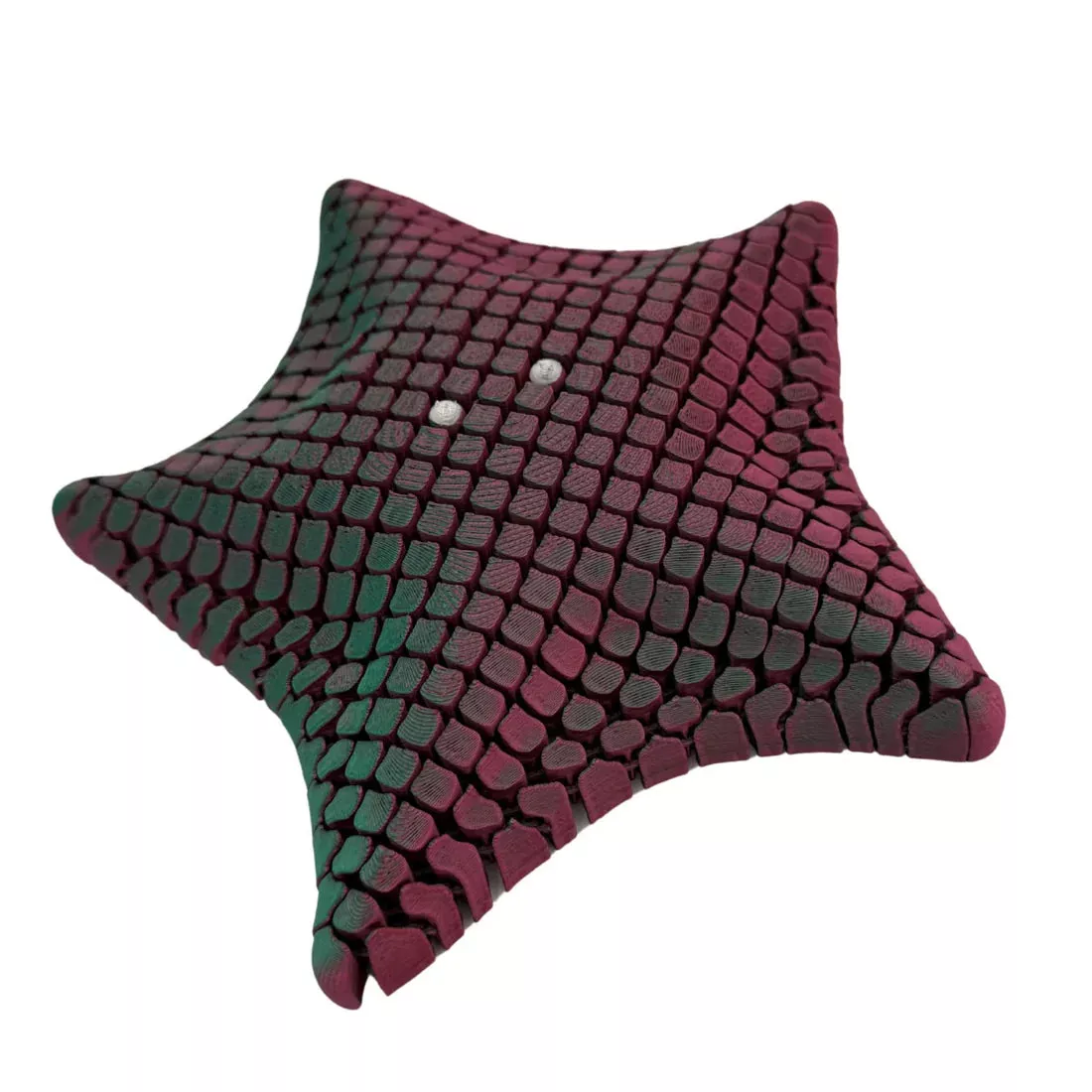 Floppy Starfish