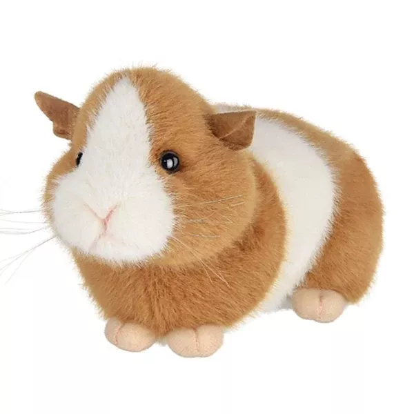 Ginny the Guinea Pig