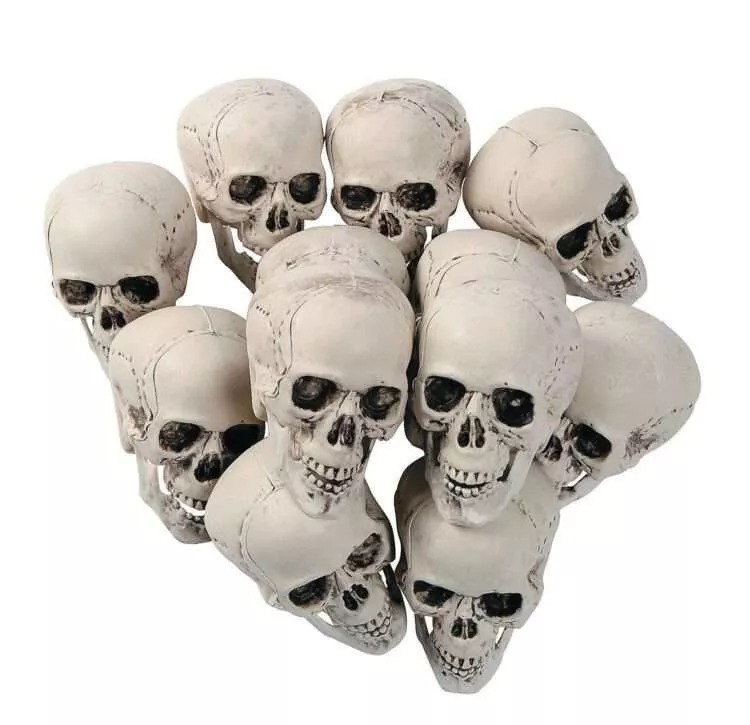 Halloween Skull Decor (48-Pack) – Durable 5-Inch Plastic Skulls