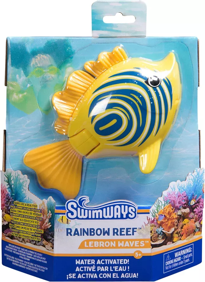 Rainbow Reef fish (sold individually)