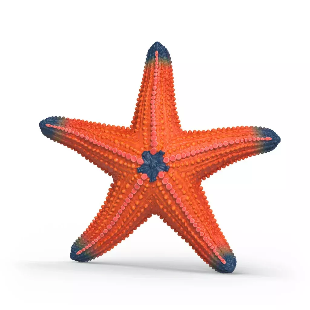 Starfish (Changes Color With Temp)