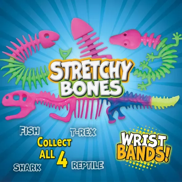 Stretchy Bones Wristbands (220 ct) – Prize Hub Level 5 Toy